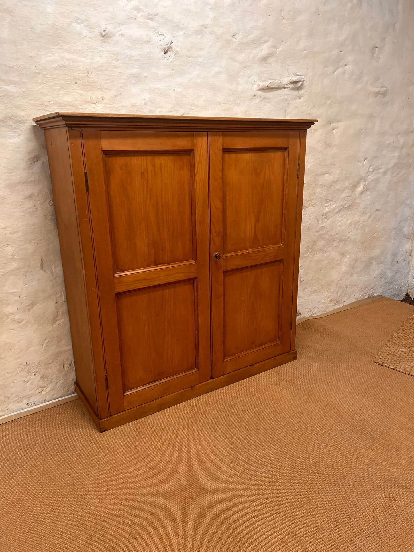 Antique Pine 2 Door cupboard