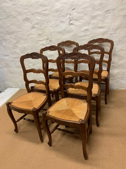 Set of 6 French Oak Ladder back Chairs