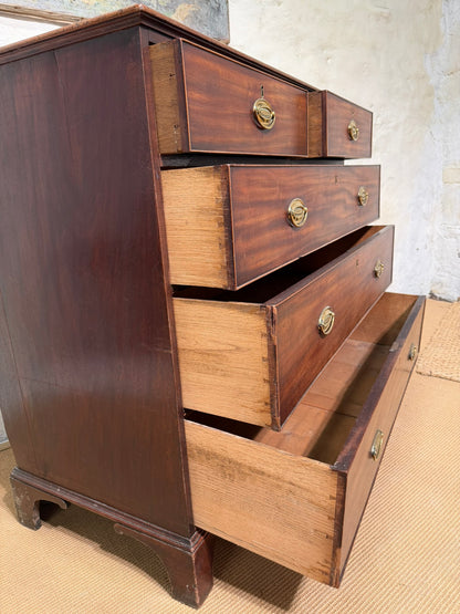 Antique Mahogany Chest of Drawers ca 1840 LM 252