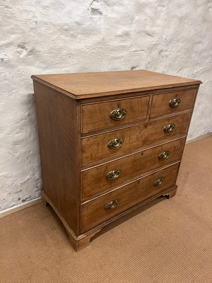 Scottish Antique Oak Chest RM 351