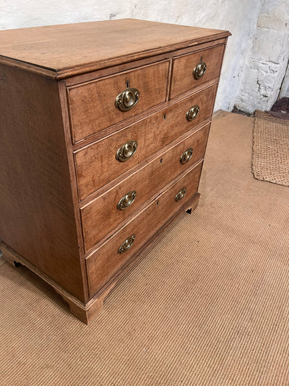 Scottish Antique Oak Chest RM 351