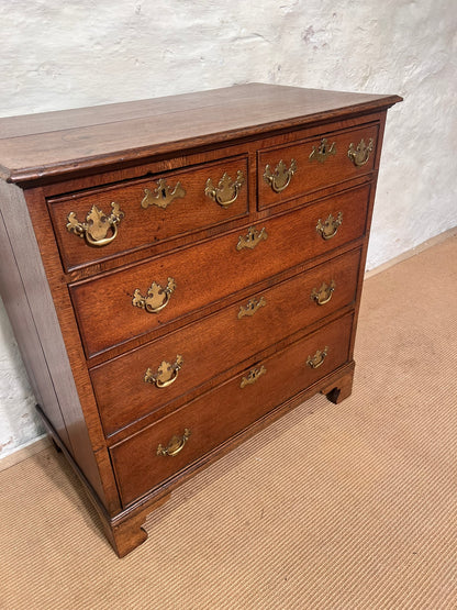 Scottish Antique Oak Chest RM 357