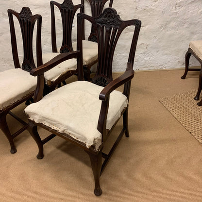 Set of 8 Antique  Mahogany Hepplewhite Chairs Ca 1890