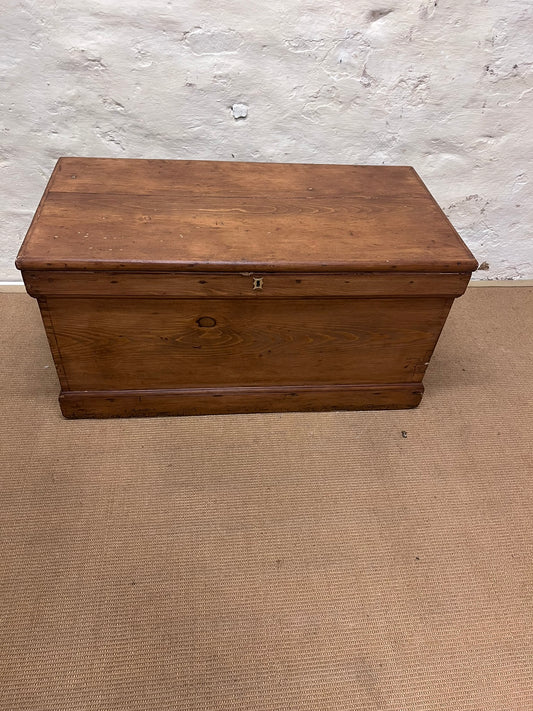 Scottish Antique Pine Trunk