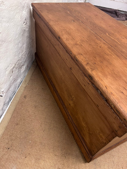 Scottish Antique Pine Trunk