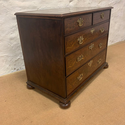 English Antique Mahogany Chest Ca 1820